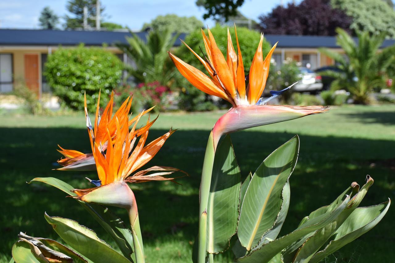 Beachway Motel Ulverstone Eksteriør bilde